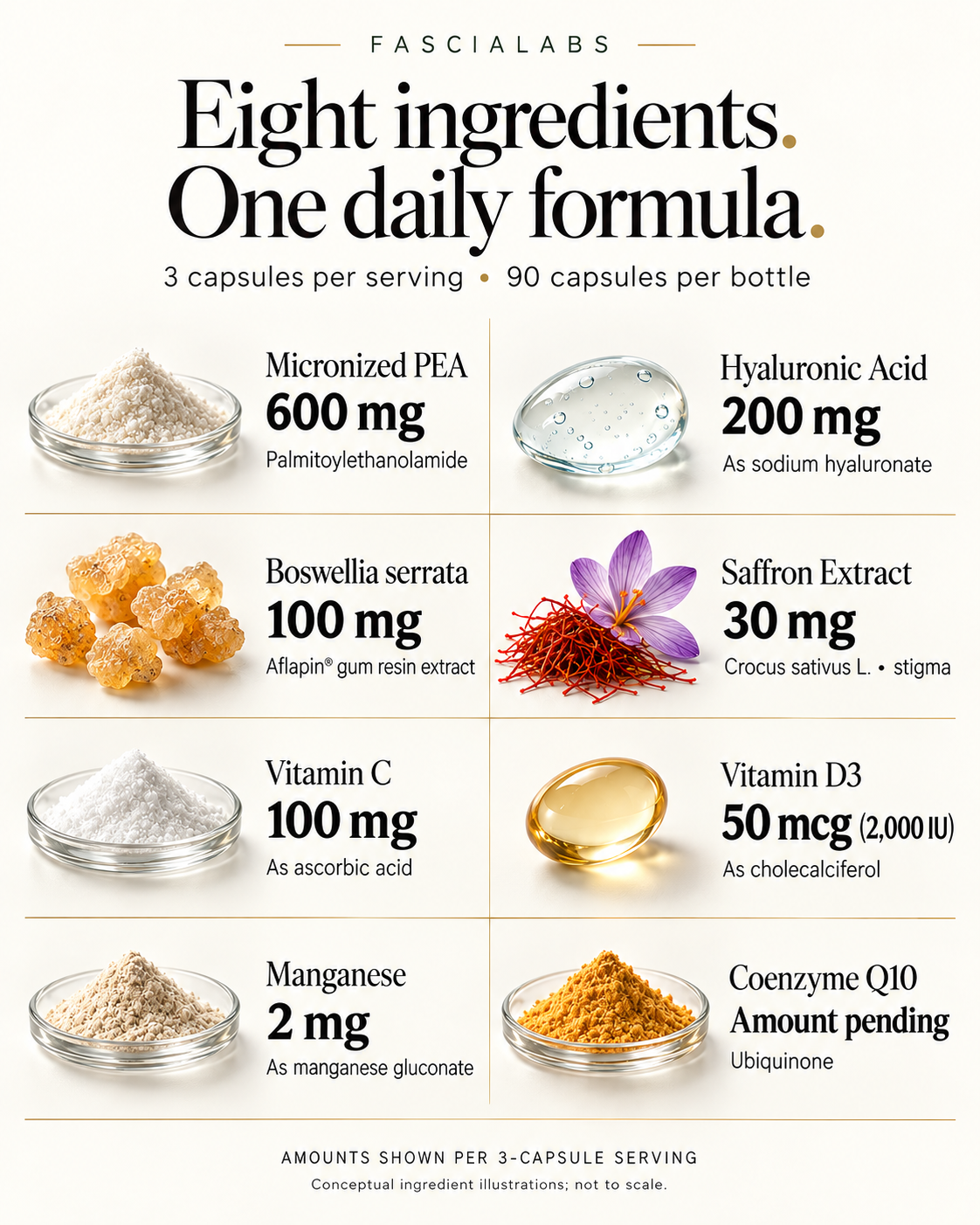 FASCIALABS eight ingredient formula overview